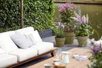 vibia campana rond 25cm saliegroen